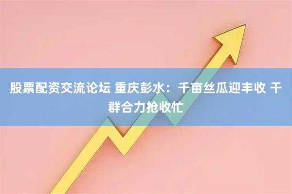 股票配资交流论坛 重庆彭水：千亩丝瓜迎丰收 干群合力抢收忙
