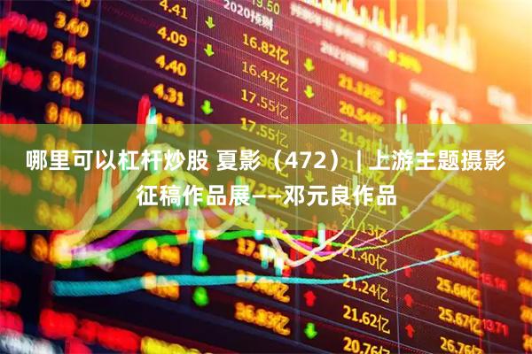 哪里可以杠杆炒股 夏影（472） | 上游主题摄影征稿作品展——邓元良作品